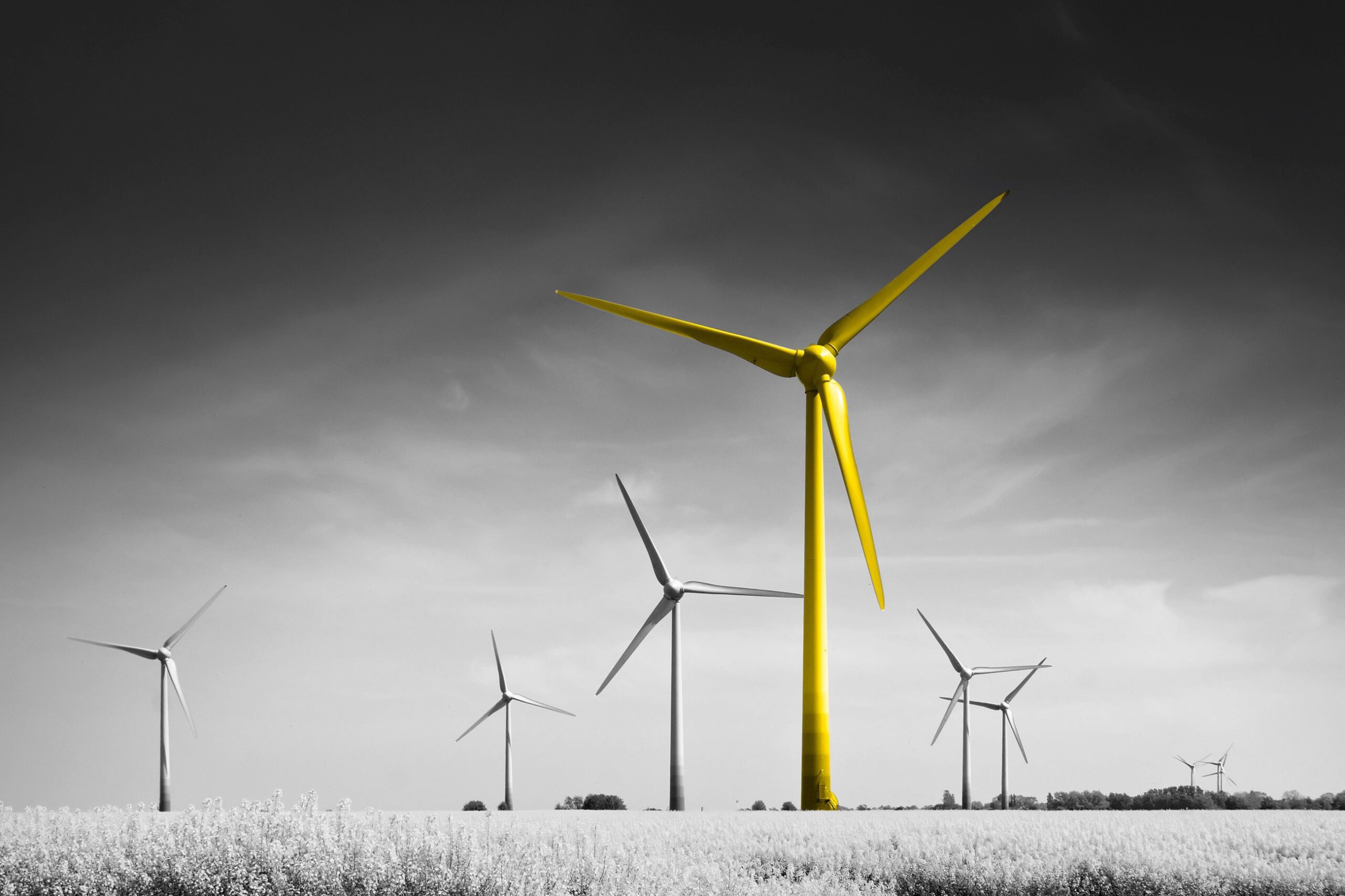 Innovencio highlights Dutch innovation grants available for startups